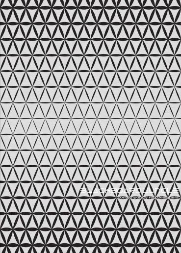 Matrix 77 ...... Abstract geometric black and white rug